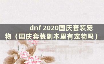 dnf 2020国庆套装宠物（国庆套装副本里有宠物吗）